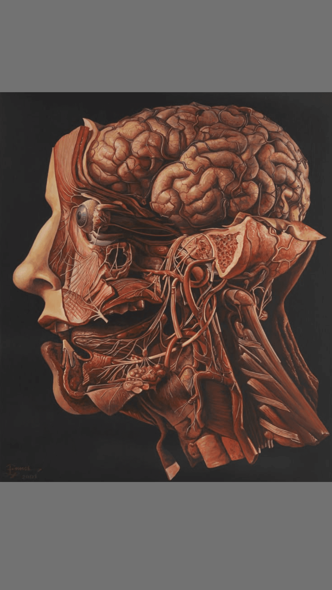 Basic Medical Sciences